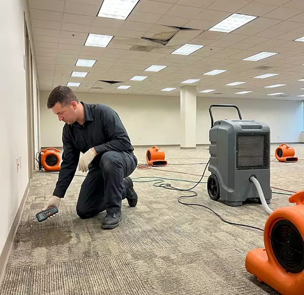 Why Businesses Choose Water Damage Oxnard for Commercial Water Damage in Oxnard, CA?